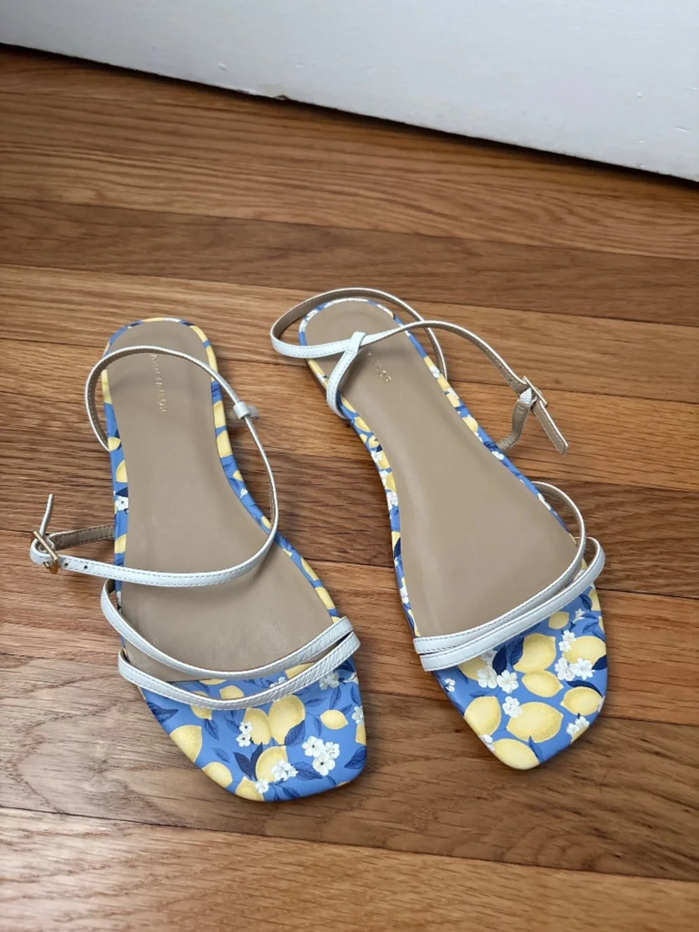 Ann Taylor ann taylor